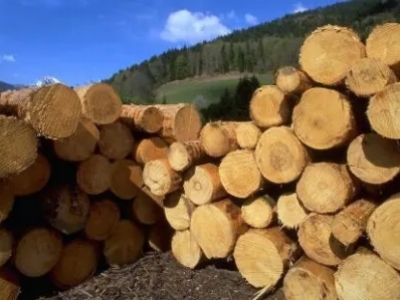 Logs